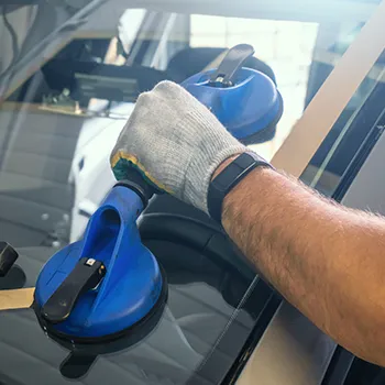 Bumper & Windshield Repair